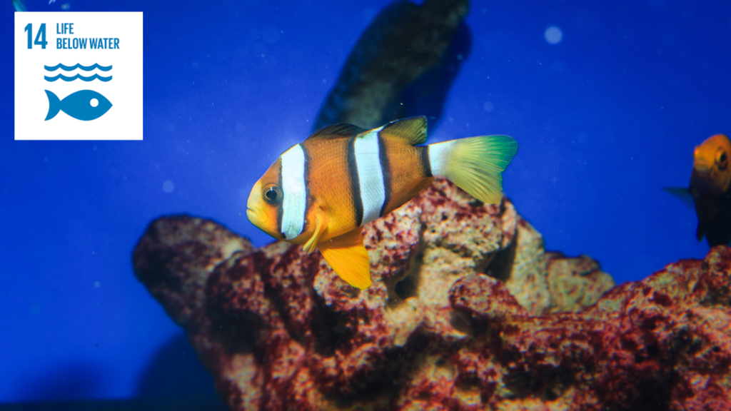 Zero Liquid Discharge